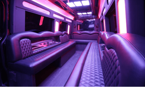 San Bernardino 14 Passenger Sprinter Bus Interior